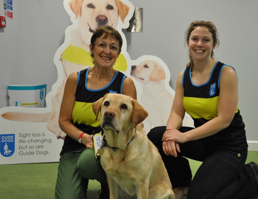 Meeting the Guide Dogs