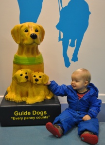 Arthur and guide dog donation doggie